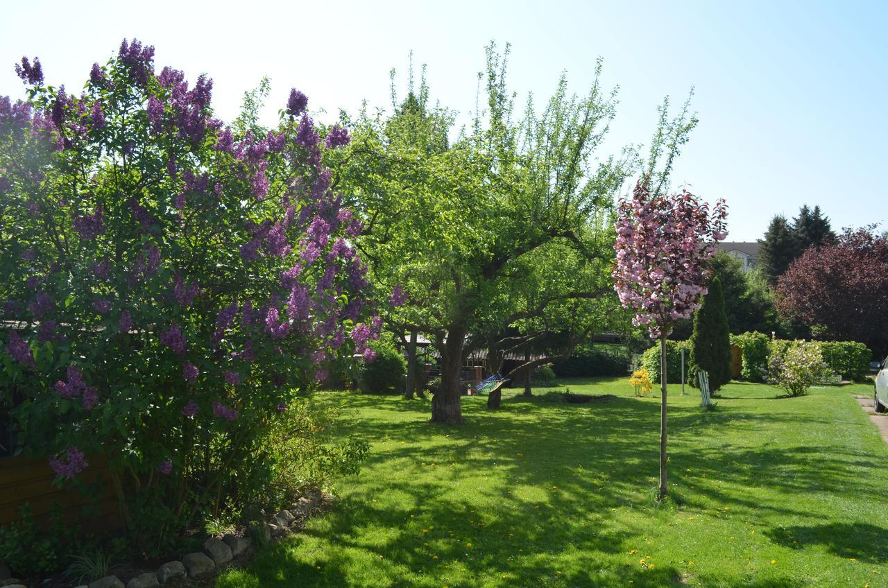Ubytovani Janina Apartment Broumov Bagian luar foto